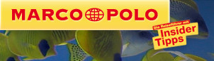 Marco Polo online, Logo