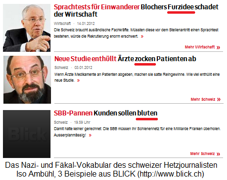BLICK-Artikel des
                          schweizer Hetzjournalisten Iso Amb�hl mit
                          Nazi- und F�kal-Vokabular sogar im Titel