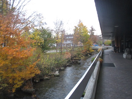 Langenthal, der kleine Fluss Langete