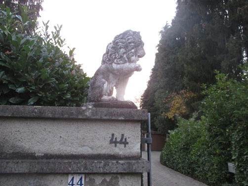 Langenthal Ringstrasse 44, 2 L�wen
                            01