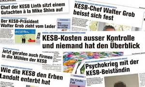 Kriminelle
                                  Kindes- und Erwachsenenschutzbeh�rde
                                  KESB, Meldungen